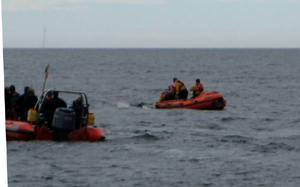 Humpback being cut free by Fethard RNLI 21/06/09 � Chris Maguire